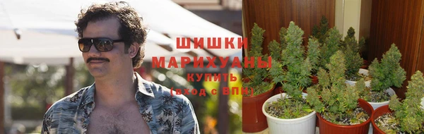 гашиш Корсаков