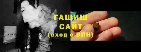 индика Абаза
